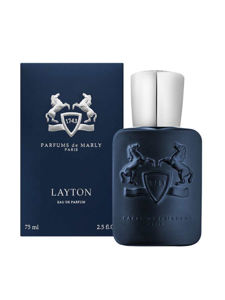 Layton Edp