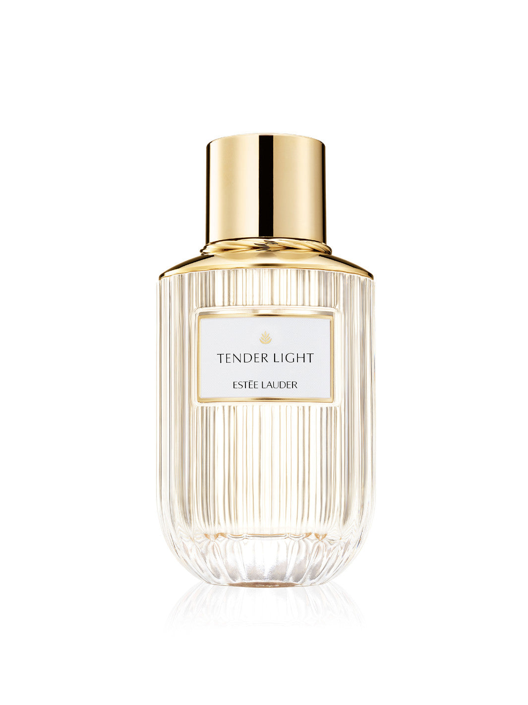 Tender Light EDP