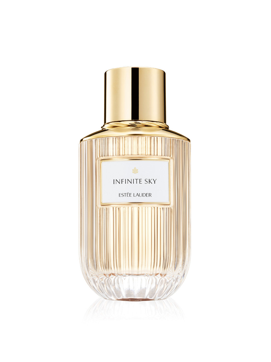 Infinite Sky EDP