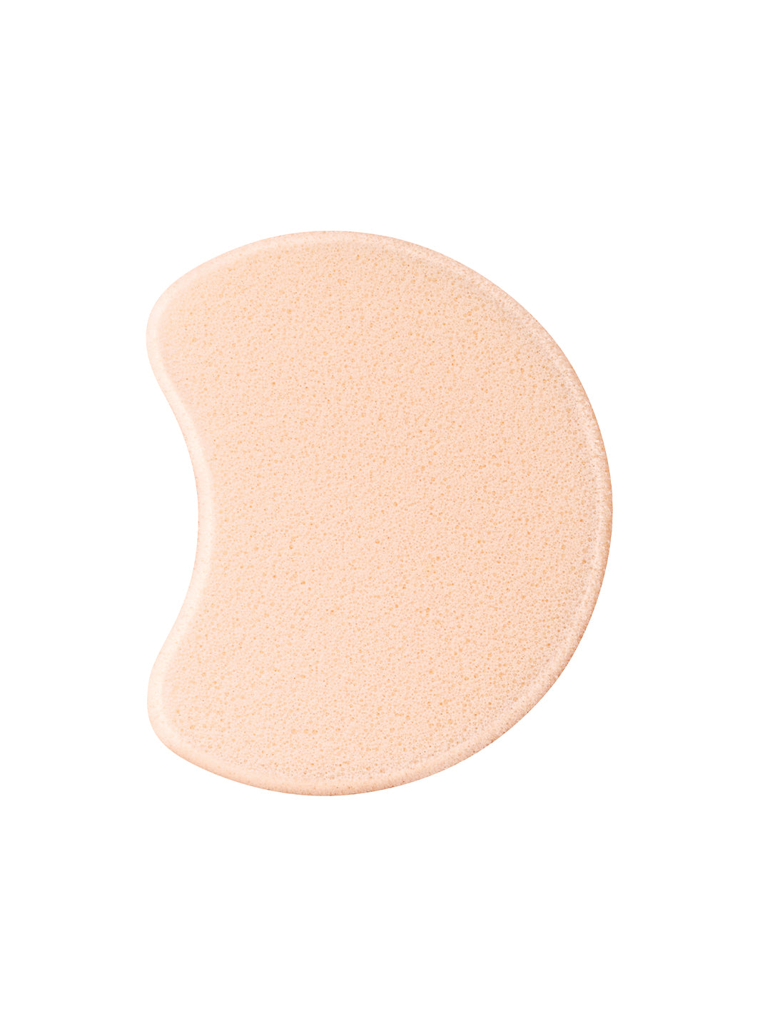 Foundation Sponge