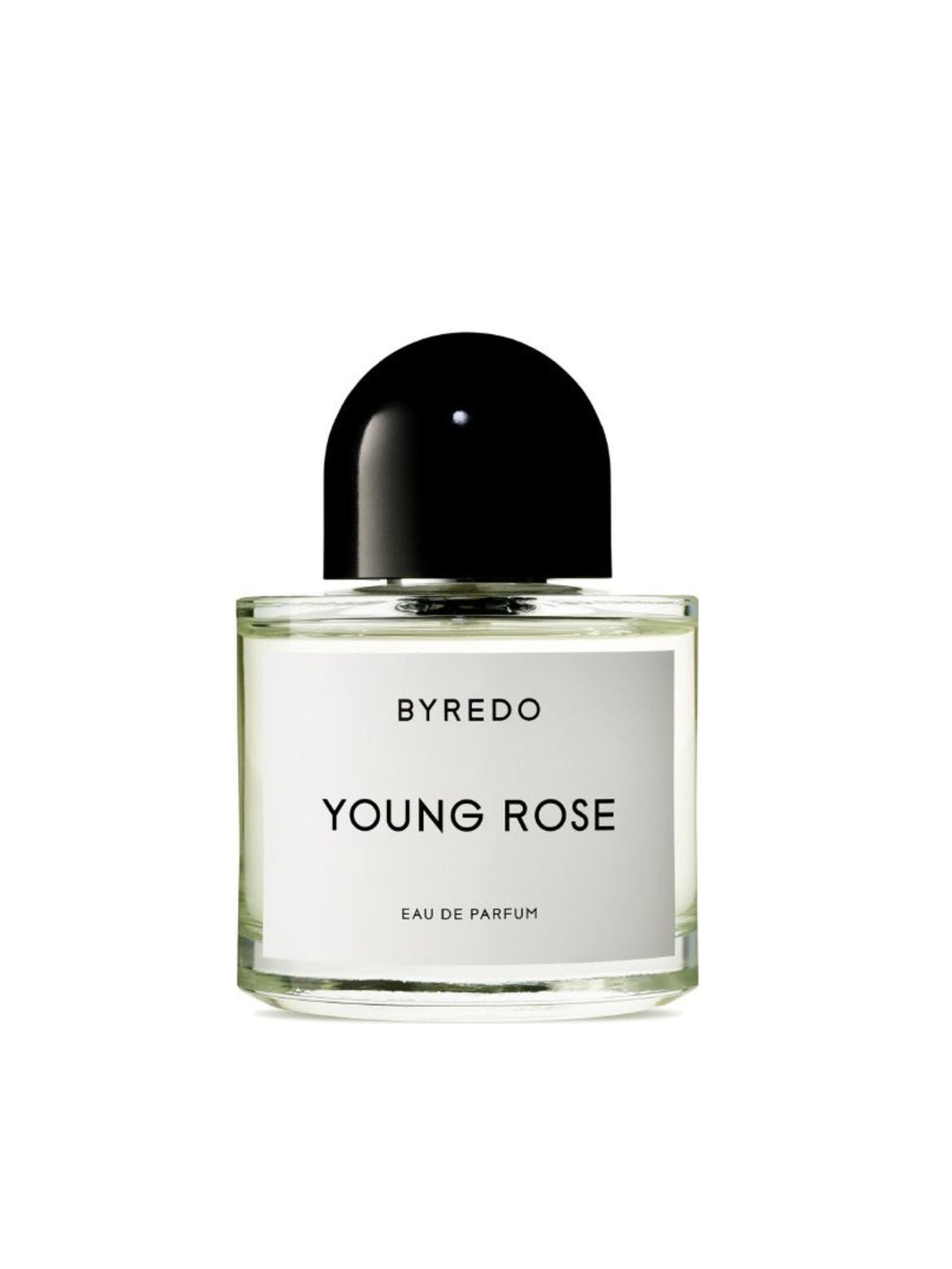 Young Rose EDP