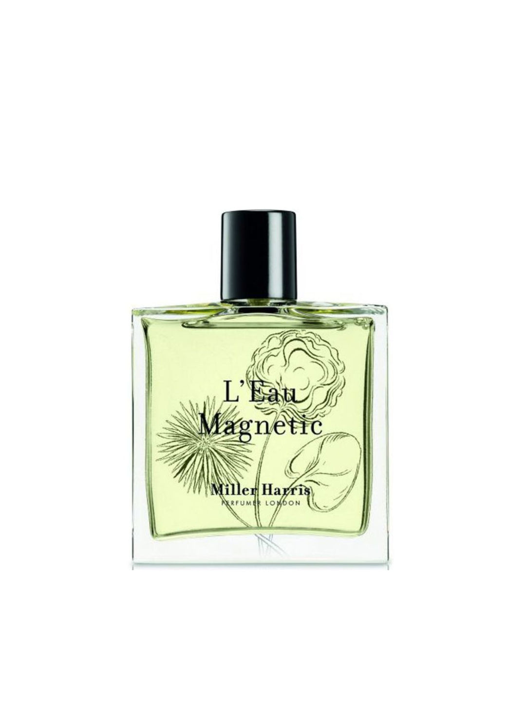 L'Eau Magnetic EDP 100 ml