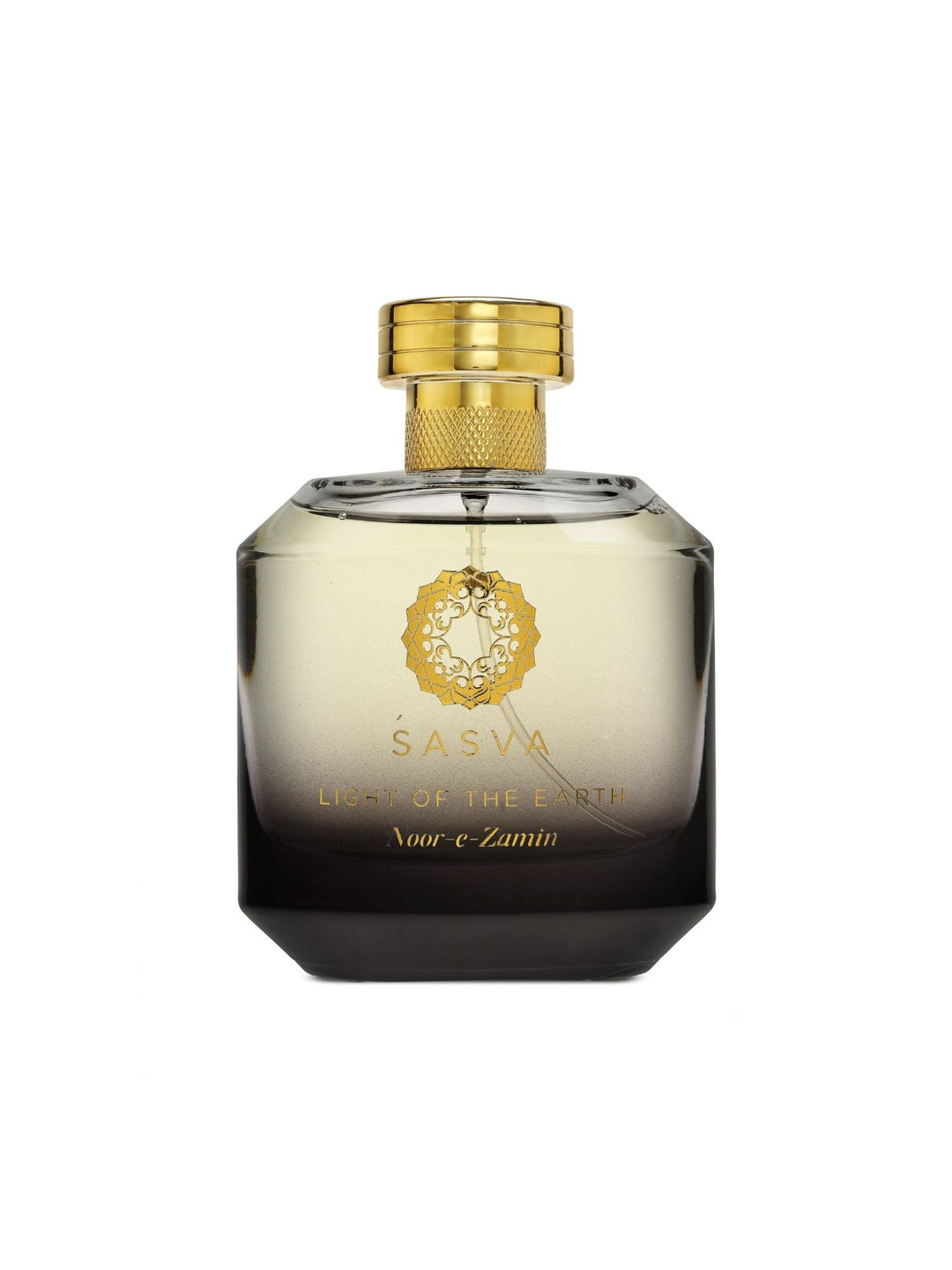 Light of the earth EDP