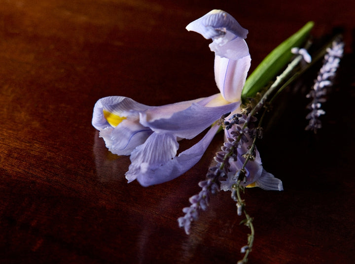 Iris Debonair Millésime
