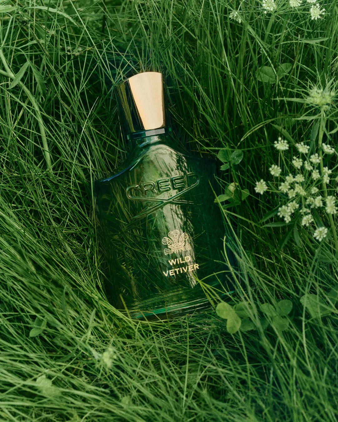 Wild Vetiver Millésime
