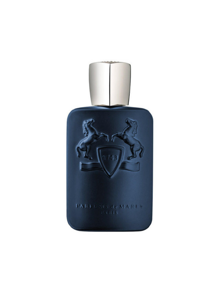 Layton Edp