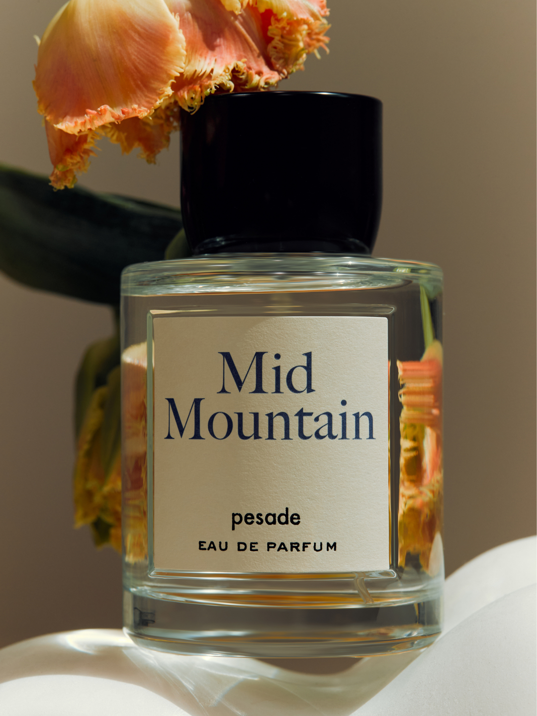 Mid Mountain EDP